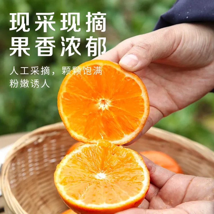 广西武鸣沃柑新鲜水果当季现摘联盟