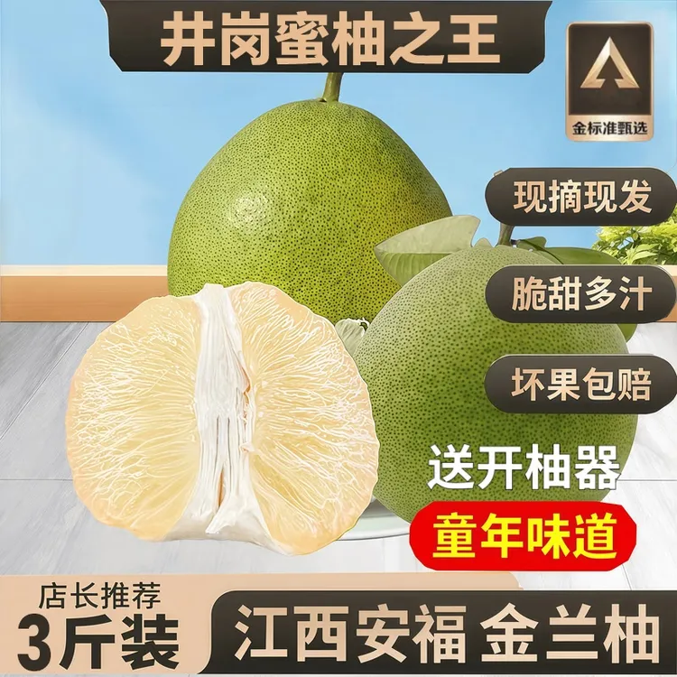 正宗安福蚕子新鲜水果江西特产吉安金兰柚井冈蜜柚香甜柚子金沙柚
