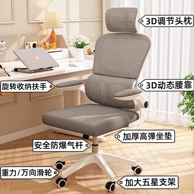 电脑椅人体工学椅撑腰可升降办公椅电竞护腰家用宿舍椅舒适久坐椅