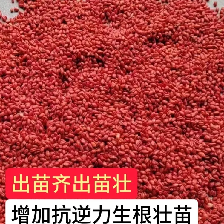 【拌得龙活动中】小麦拌种出苗齐出苗壮生根壮苗技术叶面肥防衣服