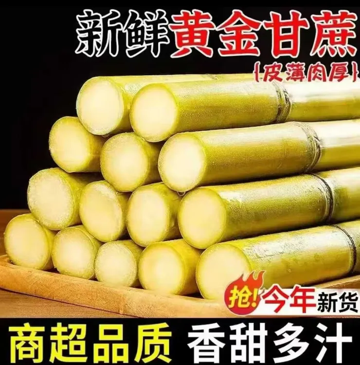 云南脆皮黄金甘蔗新鲜现砍脆甜多汁产地直发