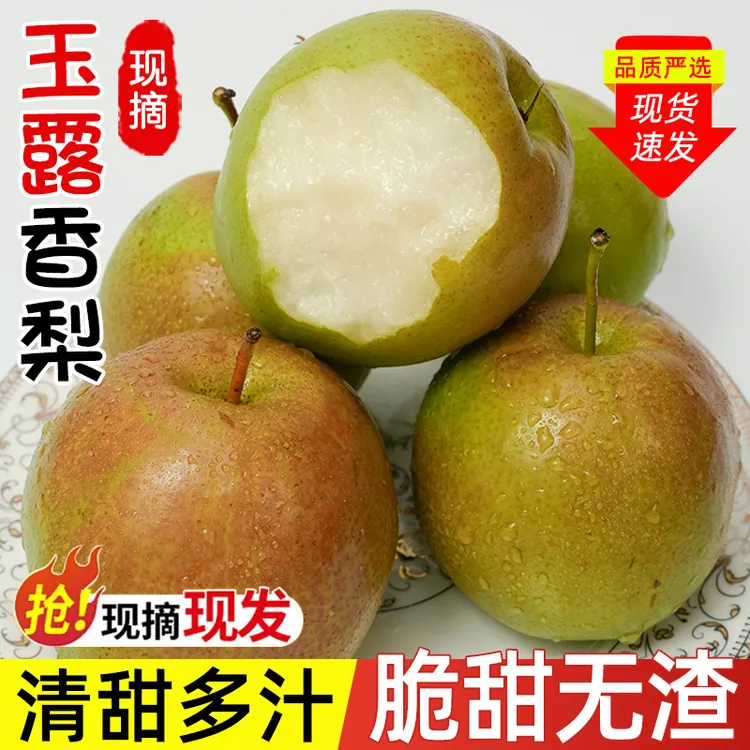 正宗玉露香梨新鲜大果脆甜梨子当季现摘皮薄多汁产地直发整箱包邮