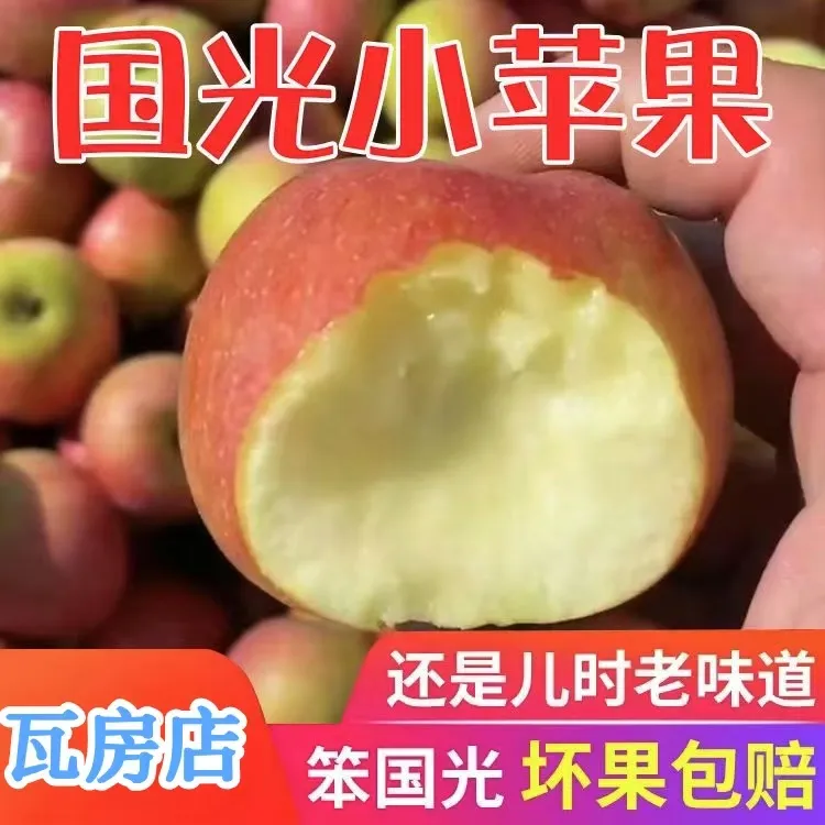 东北辽宁瓦房店小国光苹果老树国光苹果