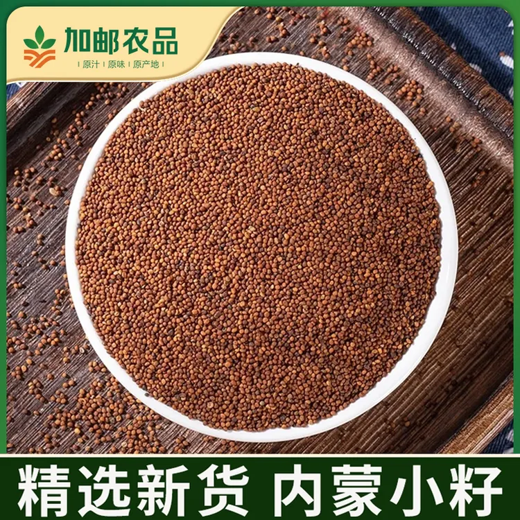 【加邮农品】菟兔·丝子精选内蒙小籽搭配枸杞泡茶泡水喝