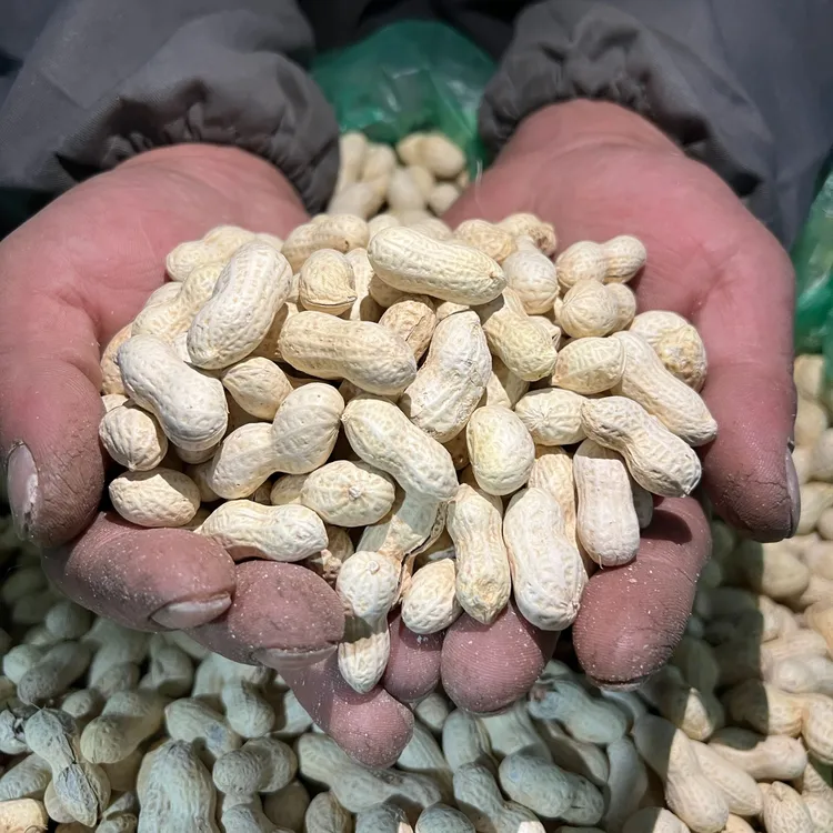 【不好吃全额退款】东北特产小珍珠花生下酒零食坚果炒货