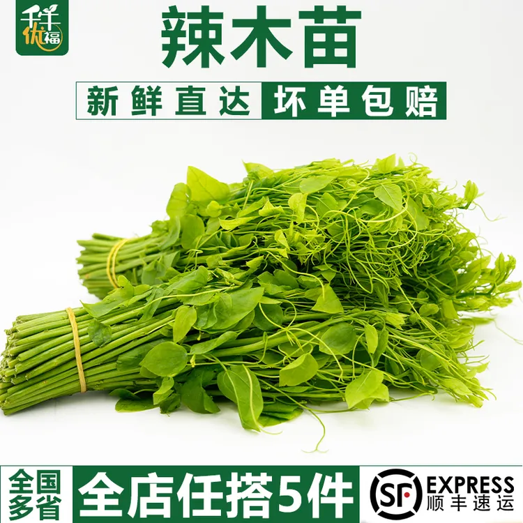 新鲜辣木苗250g 姑娘菜野菜赤苍藤龙须菜酒店食材新鲜蔬菜
