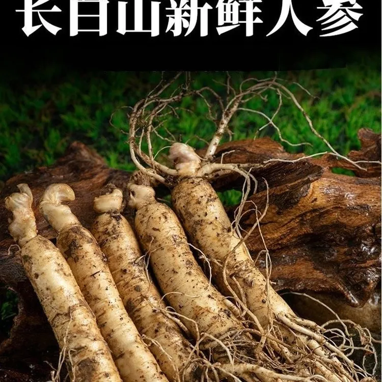 长白山新鲜人参6到7支1斤