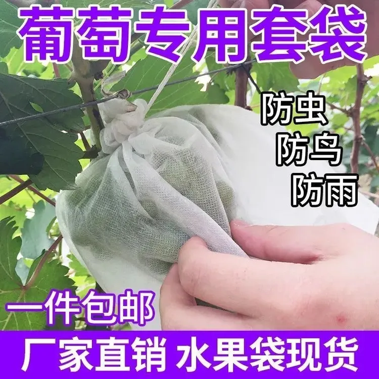 果树防虫网袋防鸟纱网袋保护葡萄袋无花果番石榴草莓套袋桃子套袋