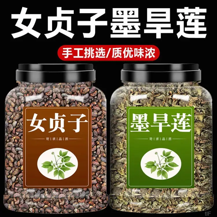 女贞子墨旱莲正宗中药材女真子和旱莲草泡茶养生泡茶泡水喝代茶饮