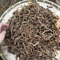 长白山玉竹高海拔野生炖汤煮水250g