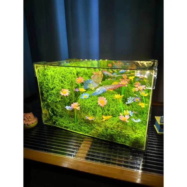 【520礼物】绿野仙踪春日蝴蝶魔方小夜灯diy材料包送闺蜜女朋友xx