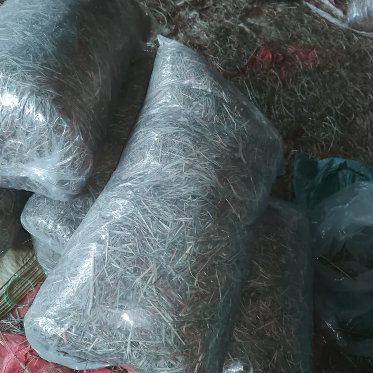 精选晒干提摩西干草宠物专用牧草适合兔子猪