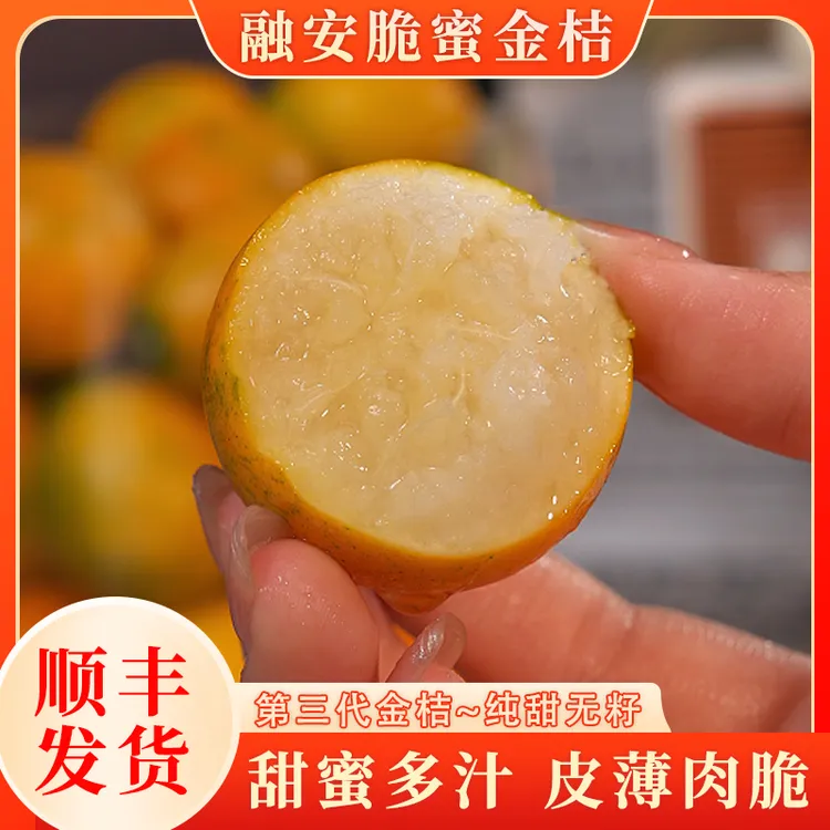 【顺丰】广西融安脆蜜金桔新鲜现摘第三代纯甜冰糖金桔新鲜肉厚多汁