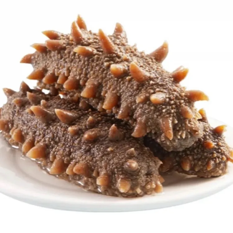 即食蒸制海参 10头/斤大海参 源头工厂发货