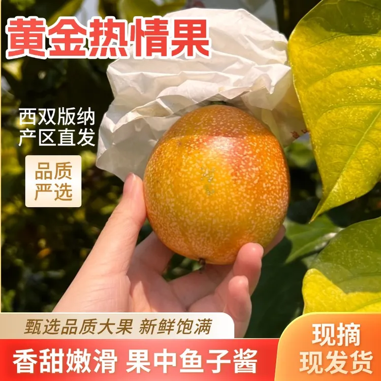 【顺丰包邮】云南西双版纳热情果产地直发蜜香清甜爆汁新鲜水果
