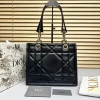 95新/包包/迪奥/250119LL0016