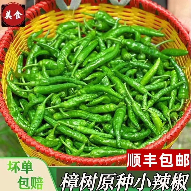 【顺丰包邮】樟树品种青椒鲜嫩香辣味翠绿现摘新鲜辣椒做虎皮辣椒