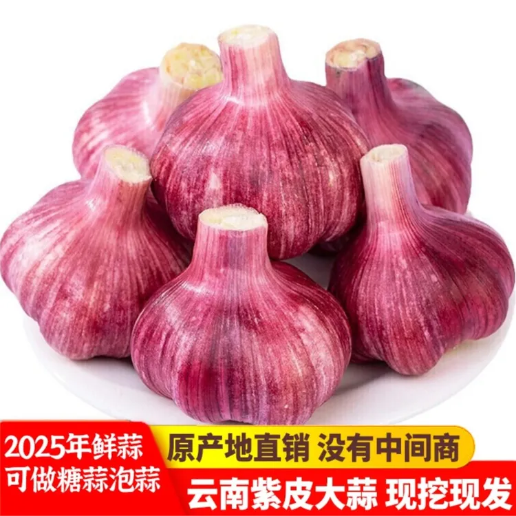 2025现挖新鲜大蒜头正宗云南紫皮大蒜农家嫩蒜腊八蒜独头蒜多瓣蒜