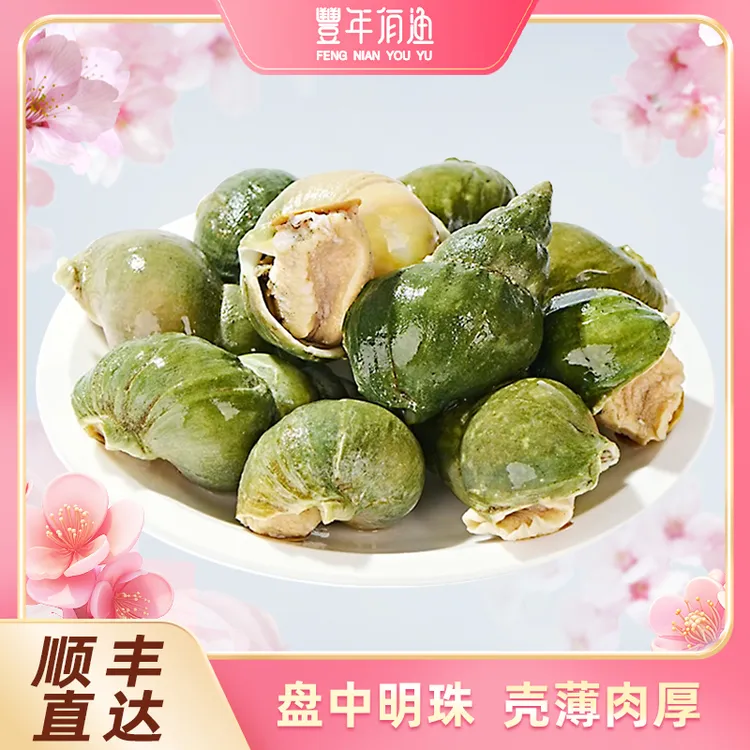 【丰年有渔】海捕翡翠螺1kg*1箱
