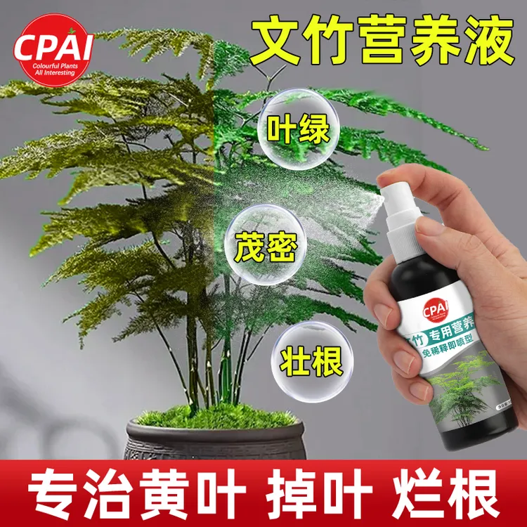 CPAI文竹专用营养液治黄叶盆栽叶子枯瘦干尖烂根落叶促生长免稀释