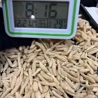 长白山农家滋补麦冬