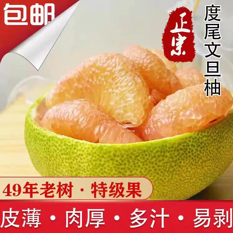 【特惠】老树正宗福建仙游度尾文旦柚子新鲜批发有孔果【介意慎拍】！