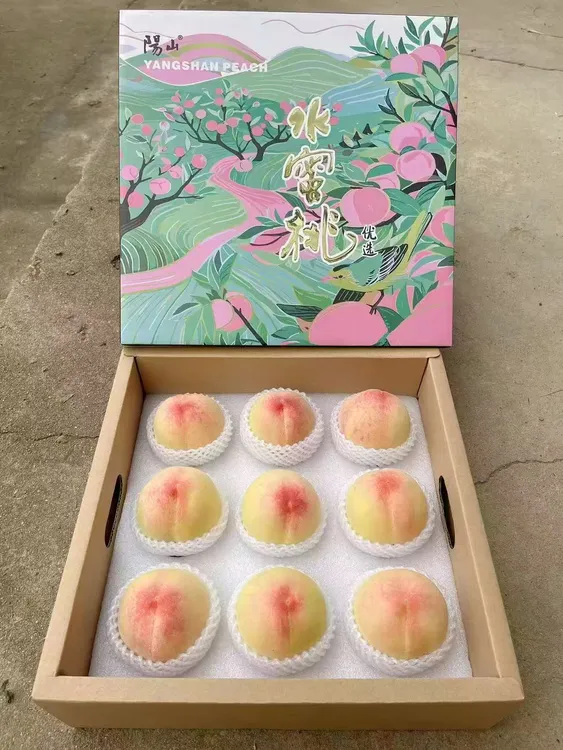 正宗无锡阳山水蜜桃
