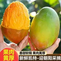 【催熟后食用】攀枝花凯特芒软糯香甜爆甜多汁芒果新鲜现摘特大果