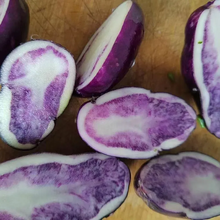云南老品种乌洋芋新鲜特产土豆紫色农家紫皮紫心七彩马铃薯洋芋