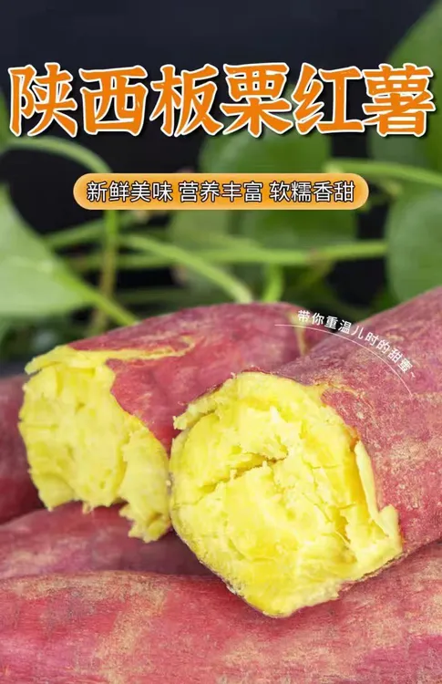新鲜现挖陕西沙地板栗红薯粉糯香甜粗粮代餐带箱5斤