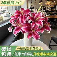 【源头优选】黑美人香水百合 任意2单升级快递 发货后不支持退款