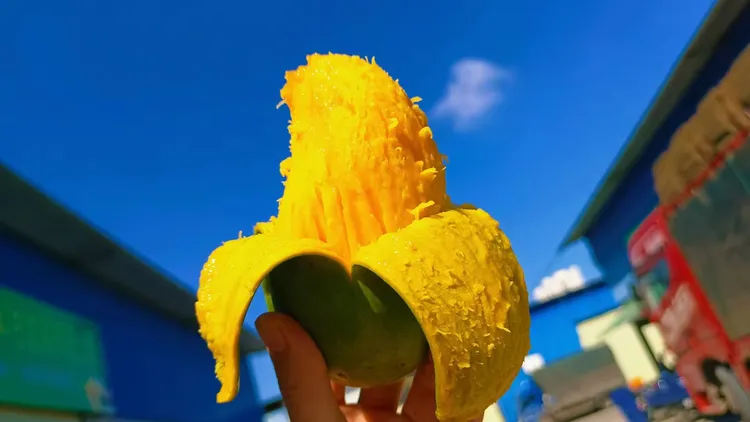 广西百色精品中桂七广西百色芒果