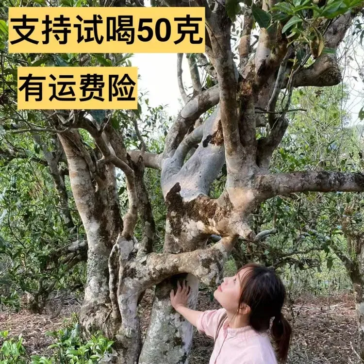 布朗山【普洱茶-生茶散茶】 支持试喝 购买可选树龄和重量 产地直发