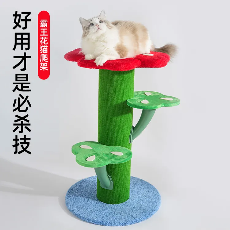 喵仙儿霸王花猫爬架与猫窝二合一四季通用猫咪宠物用品(亚展活动）