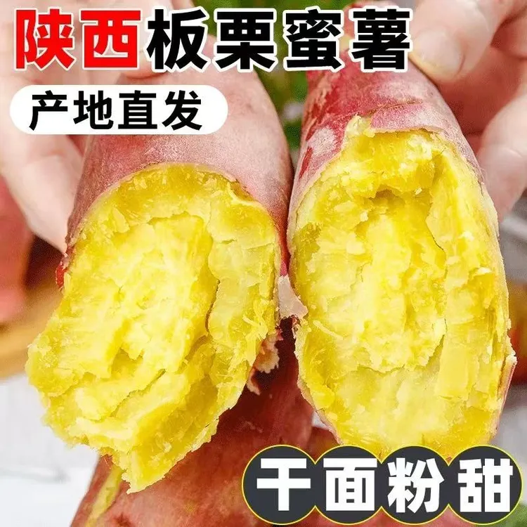 陕西板栗红薯皮薄肉厚沙地种植粉面香甜番薯5斤装