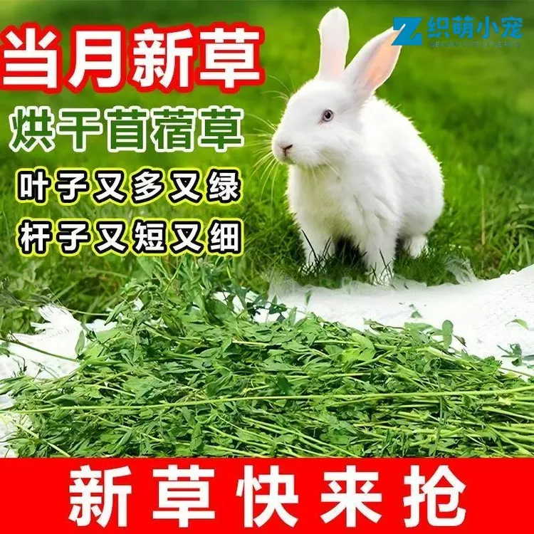 2025年当月烘干紫花苜蓿草兔子龙猫荷兰猪幼兔粮食牧草饲料