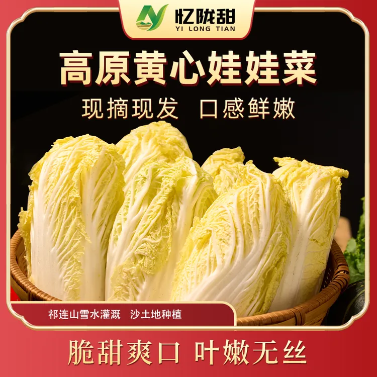 【忆陇甜】甘肃高原黄心娃娃菜蔬菜产地直发5斤装顺丰京东高原菜