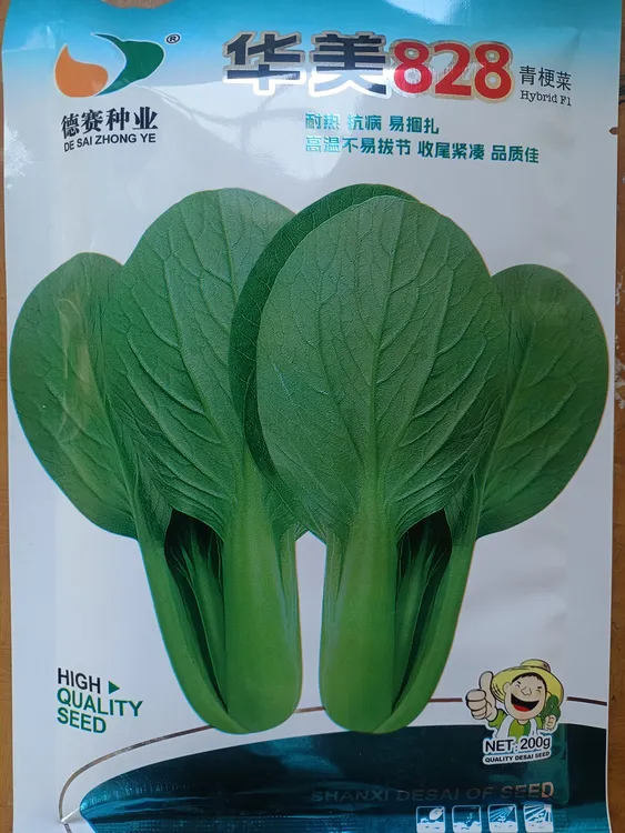 华美828青梗菜，耐热耐湿，高温不易拔节，收尾紧凑，品质佳。