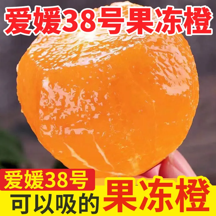 爱媛38号果冻橙【像果冻一样】四川新鲜水果