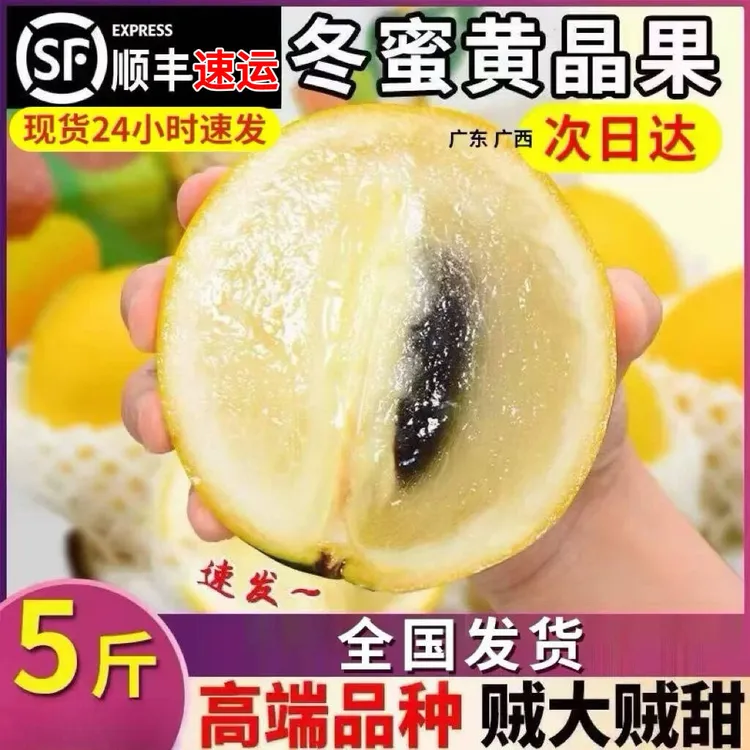 【顺丰速运5斤大果】冬蜜牛奶黄晶果香甜软糯应季水果产地现摘现发
