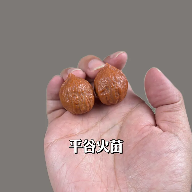 文玩核桃小手捻 平谷火苗精打底 油性足尺寸约24mm男女同款手把件