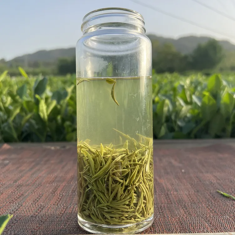 信阳毛尖新茶谷雨茶一级小芽 浉河港镇产区茶叶