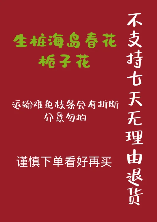 生桩春花栀子花直播间一物一拍运输难免会有折断介意勿拍谨慎下单
