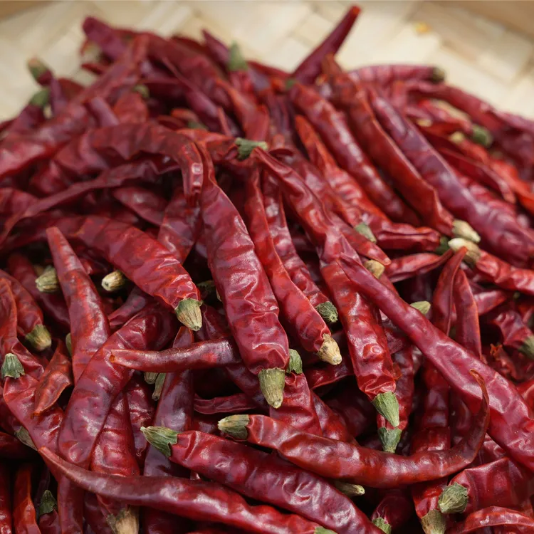 【巨辣爆辣】印度S17魔鬼椒变态辣精品干辣椒干辣椒特辣