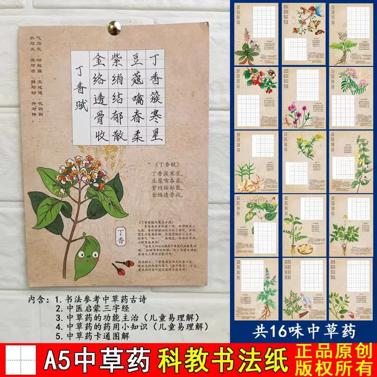 A5中草药科教硬笔书法纸中医启蒙知识挂图学生手写古诗词练字帖