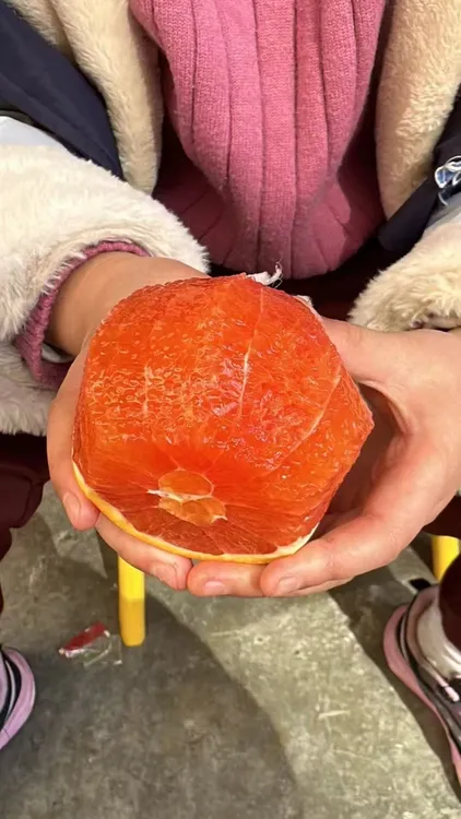 湖北秭归中华红橙血橙维c补血脐橙橙子送人纯甜礼盒