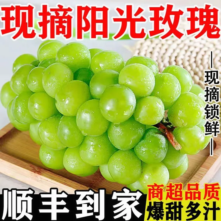 云南高山新鲜阳光玫瑰葡萄脆甜无籽香甜多汁应季新鲜水果