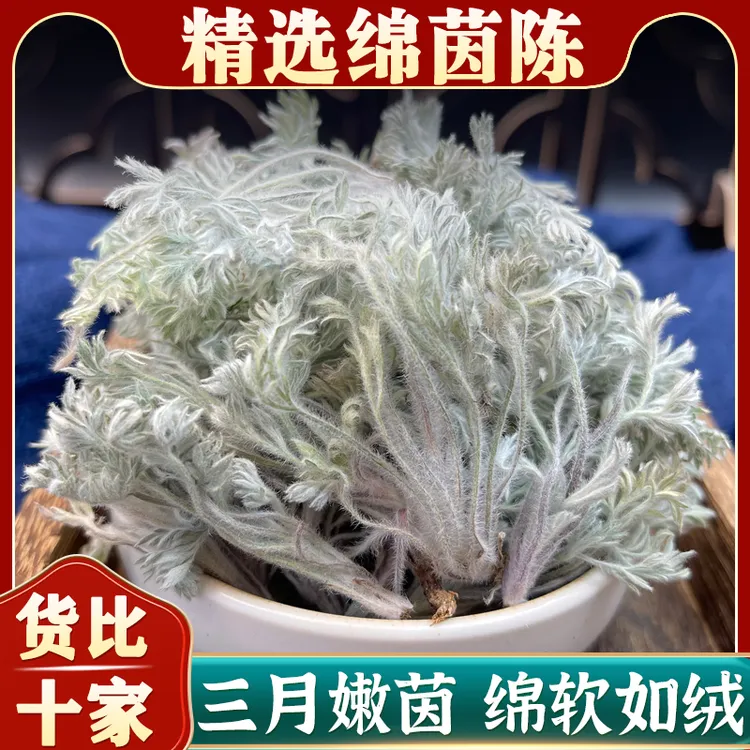 野生茵陈整颗新货正宗白蒿绵茵陈蒿泡水茶因陈茵陈草棉茵陈中药材