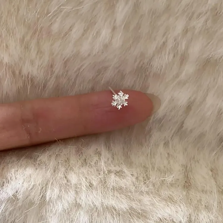 合金耳饰 【精致小众】女款雪花耳钉养耳洞耳饰耳骨耳环