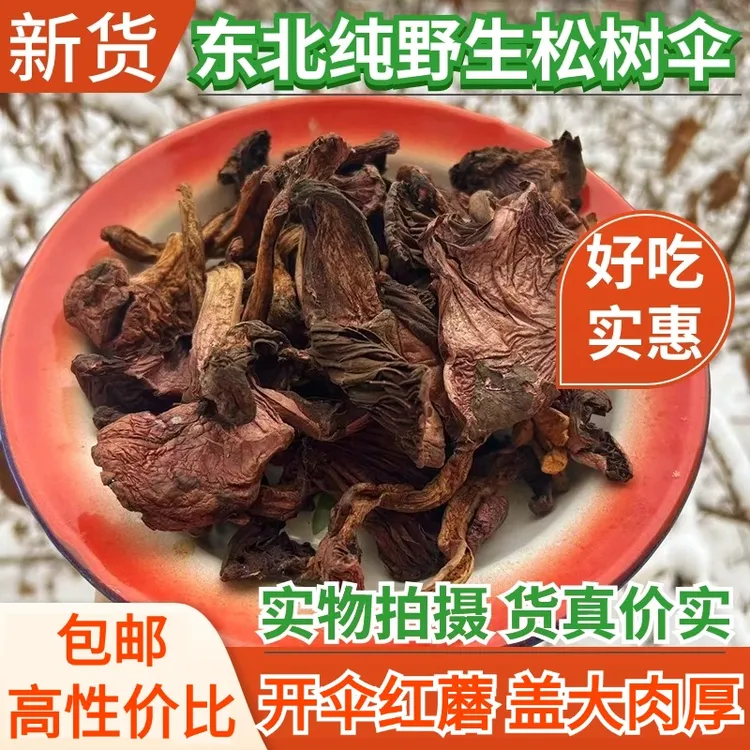 【大盖红蘑 买一送一】东北野生松树伞红蘑肉蘑菇钉红松伞鸡血蘑